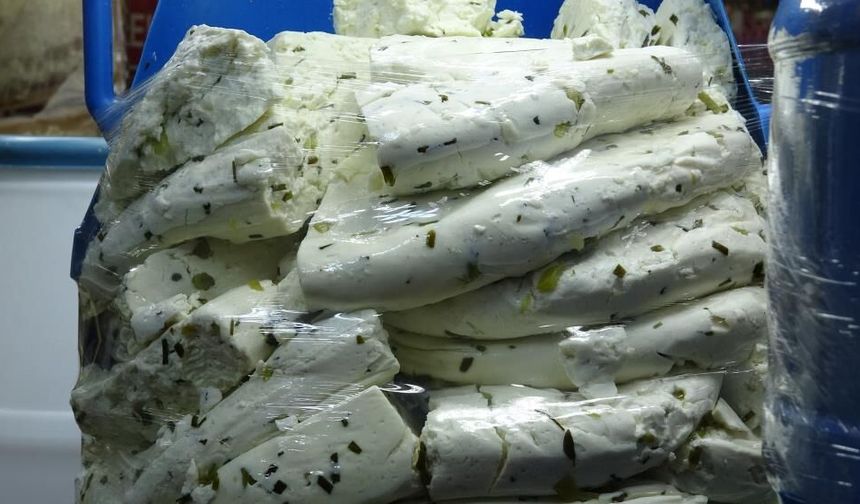 Otlu peynire dönüş yolunda yoğun ilgi: Talep arttı, üretici memnun