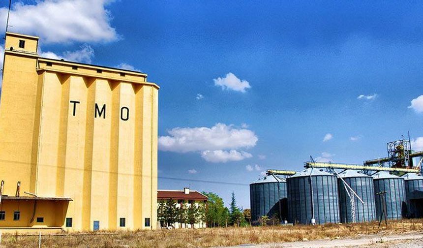 TMO’dan üreticilere 3,6 milyar TL’lik ödeme: Hesaplara yatırıldı