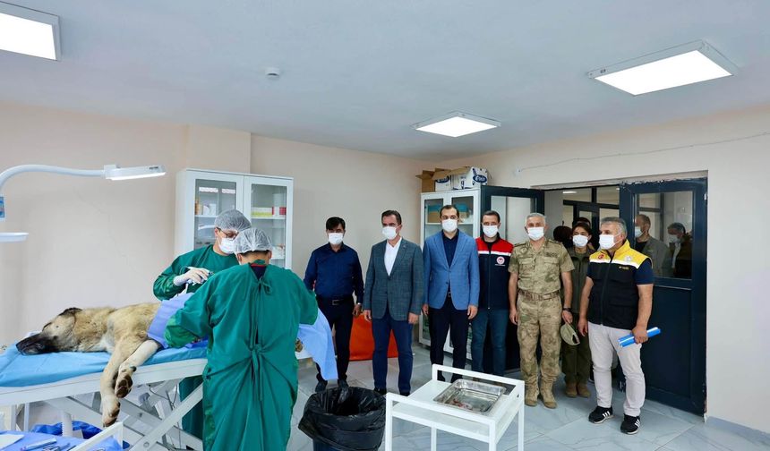 Vali Karakaya sahipsiz hayvanların bakım merkezini inceledi