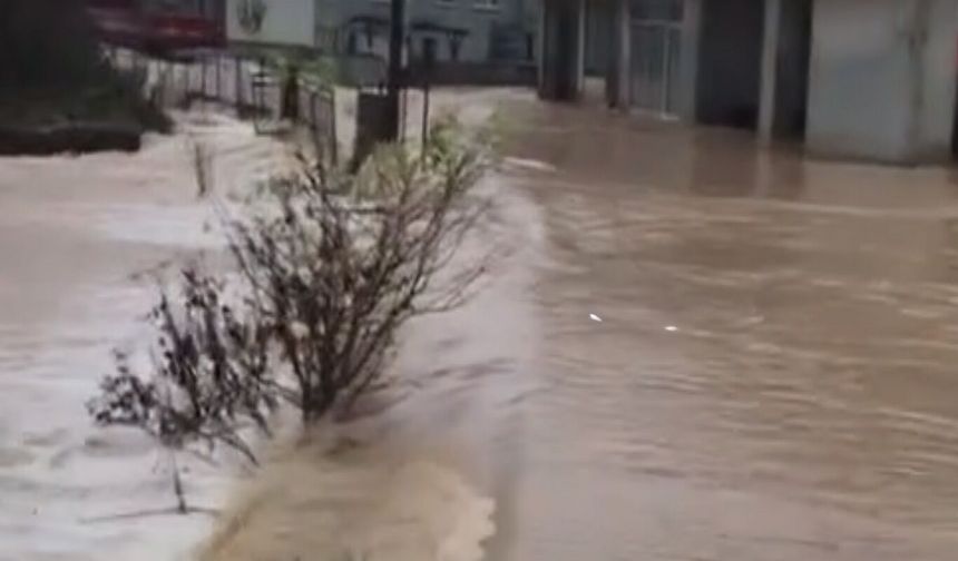 Bitlis'e kuvvetli sağanak geliyor: Bu saatlere dikkat