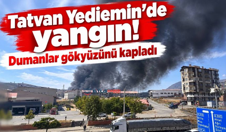 Tatvan Yediemin’de yangın! Dumanlar gökyüzünü kapladı