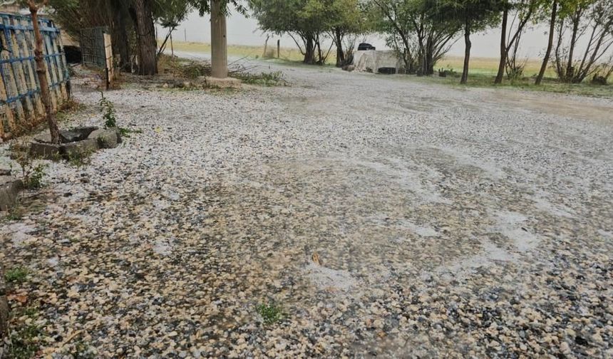 Bitlis'te aniden bastırdı! Dolu yağışı ortalığı beyaza bürüdü