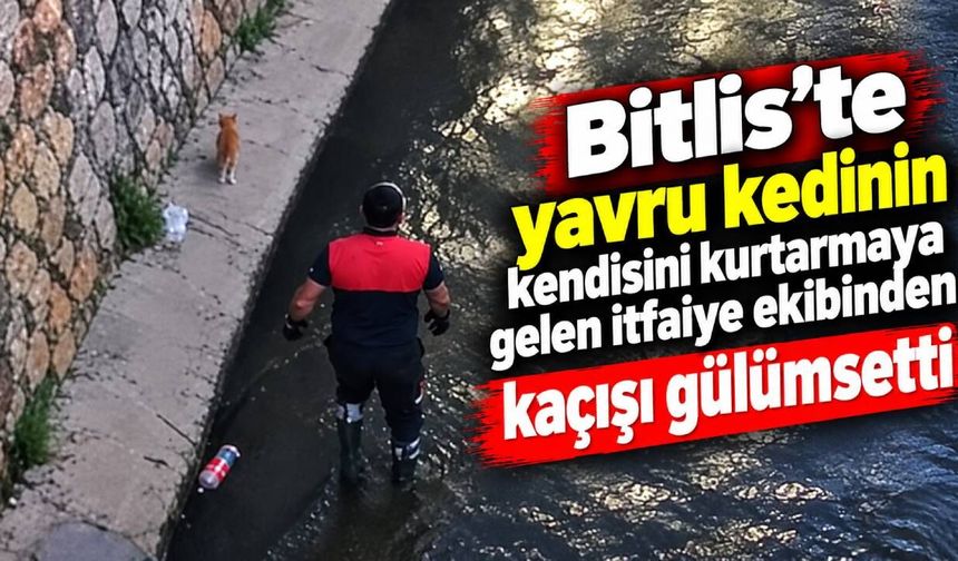 Bitlis'te yavru kedinin, kendisini kurtarmaya gelen itfaiye ekibinden kaçışı gülümsetti
