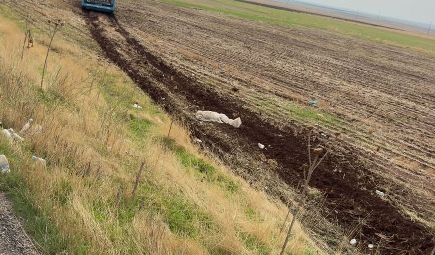 Yolcu otobüsü tarlaya girdi: 21 kişi ölümden döndü